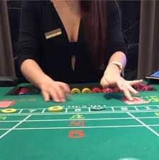 236bet